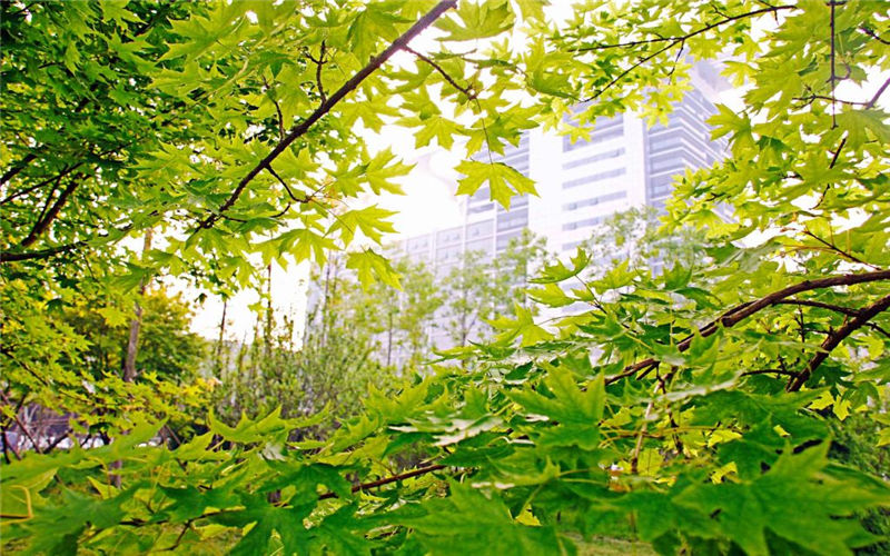 山西理科考生553分能考上中国石油大学（华东）勘查技术与工程